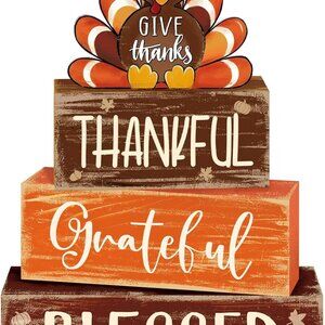 4 Pcs Thanksgiving Decor for Home Funny Turkey Wooden Signs with Hat Thanksgivin